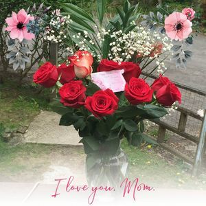 Meet your Posher, Liz